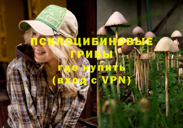 прущий лед Мегион