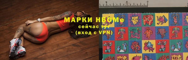соль ск Медногорск