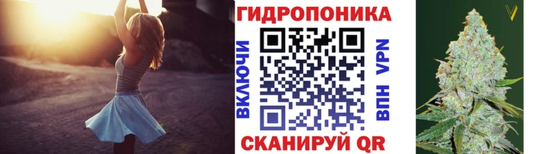 Конопля гибрид Дербент